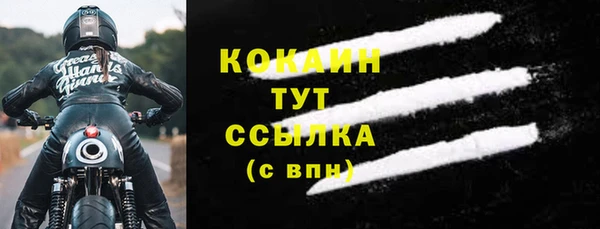 apvp Новозыбков