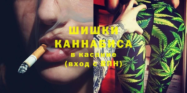 apvp Новозыбков