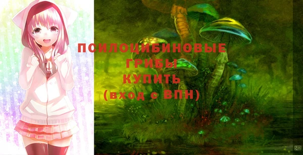 твердый Новокубанск
