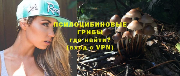 а пвп мука Новодвинск