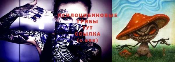 таблы Гусиноозёрск