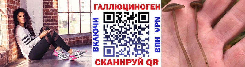 Псилоцибиновые грибы Magic Shrooms  Куса 